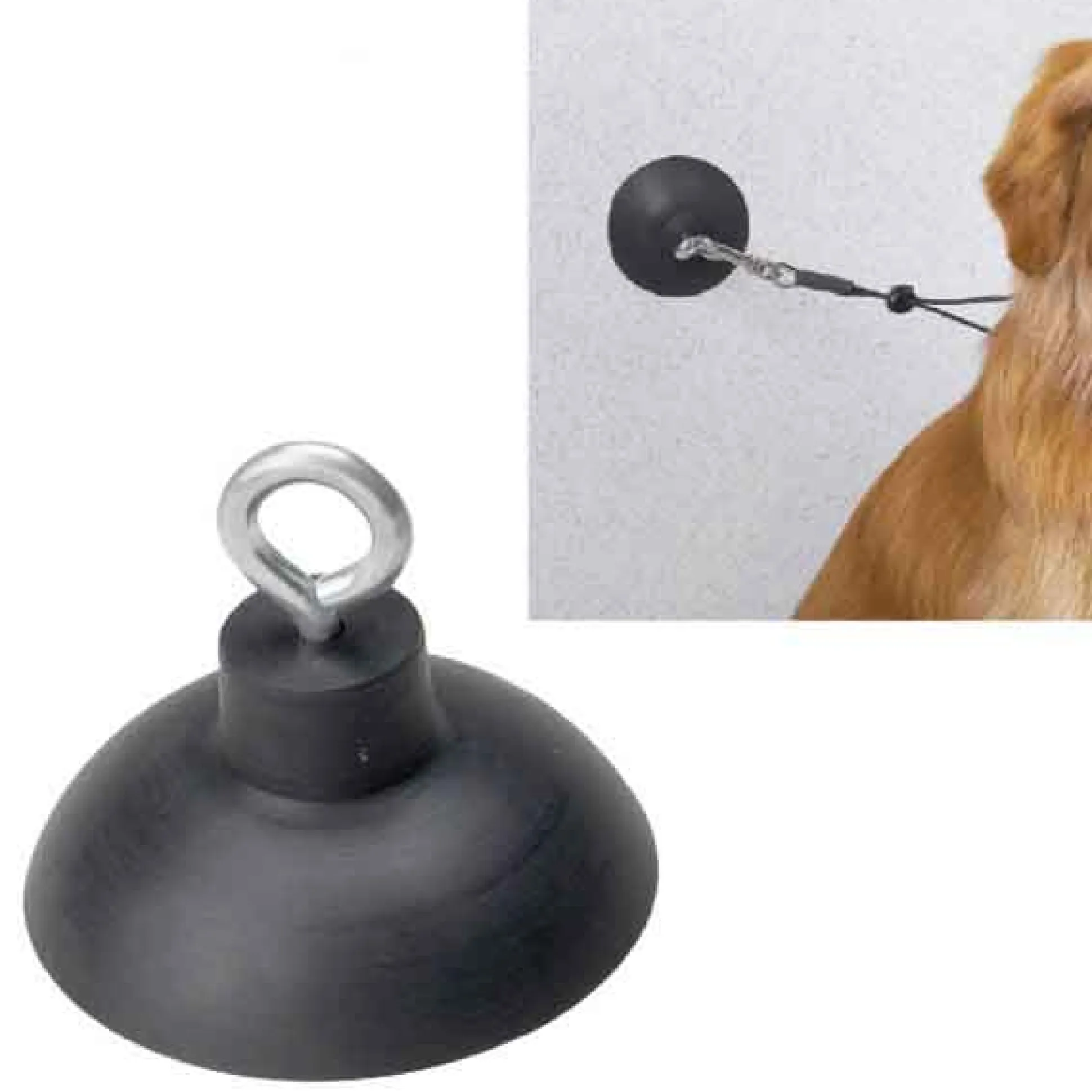 Top Performance Suction Cup