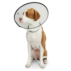 Total Pet Health Elizabethan Collars