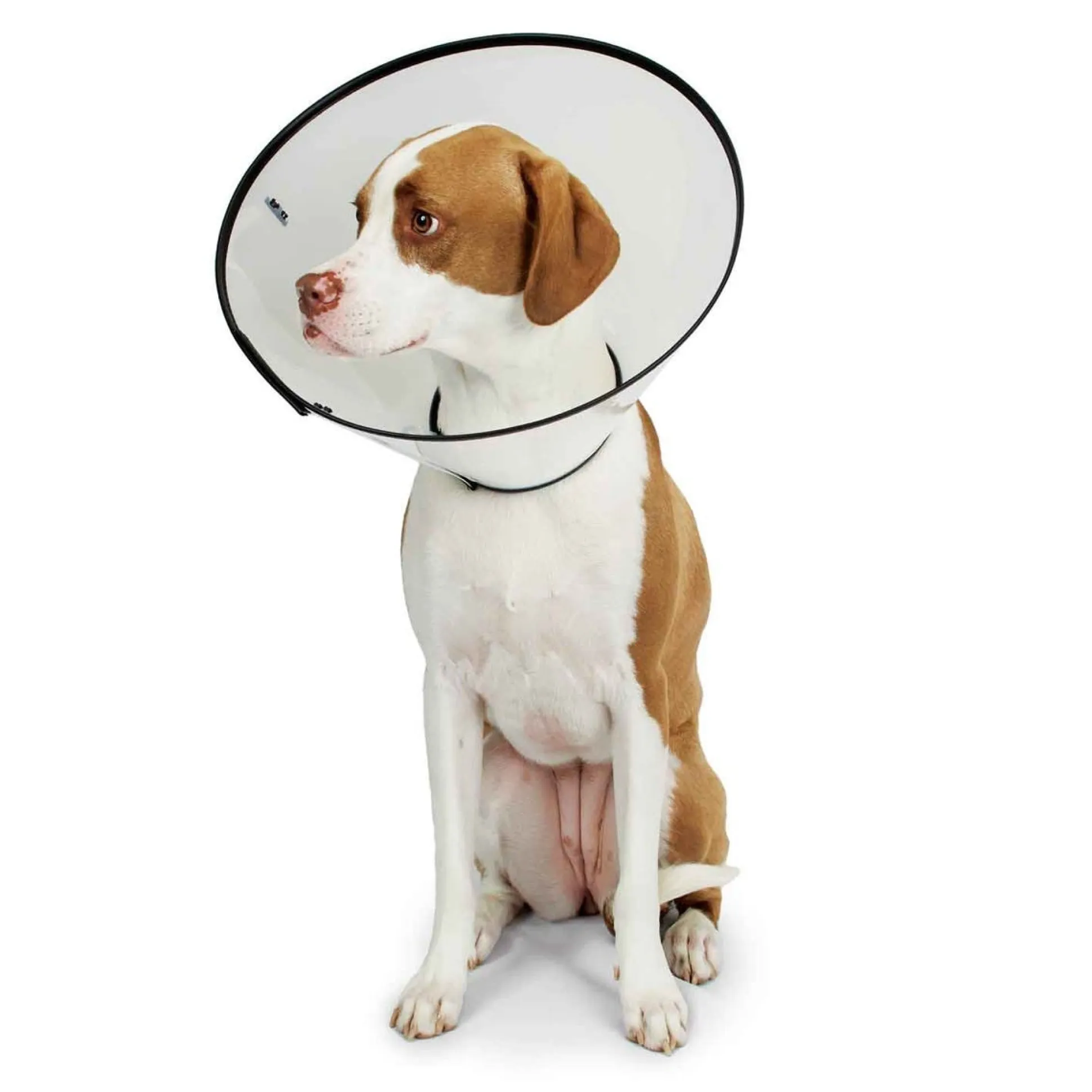 Total Pet Health Elizabethan Collars