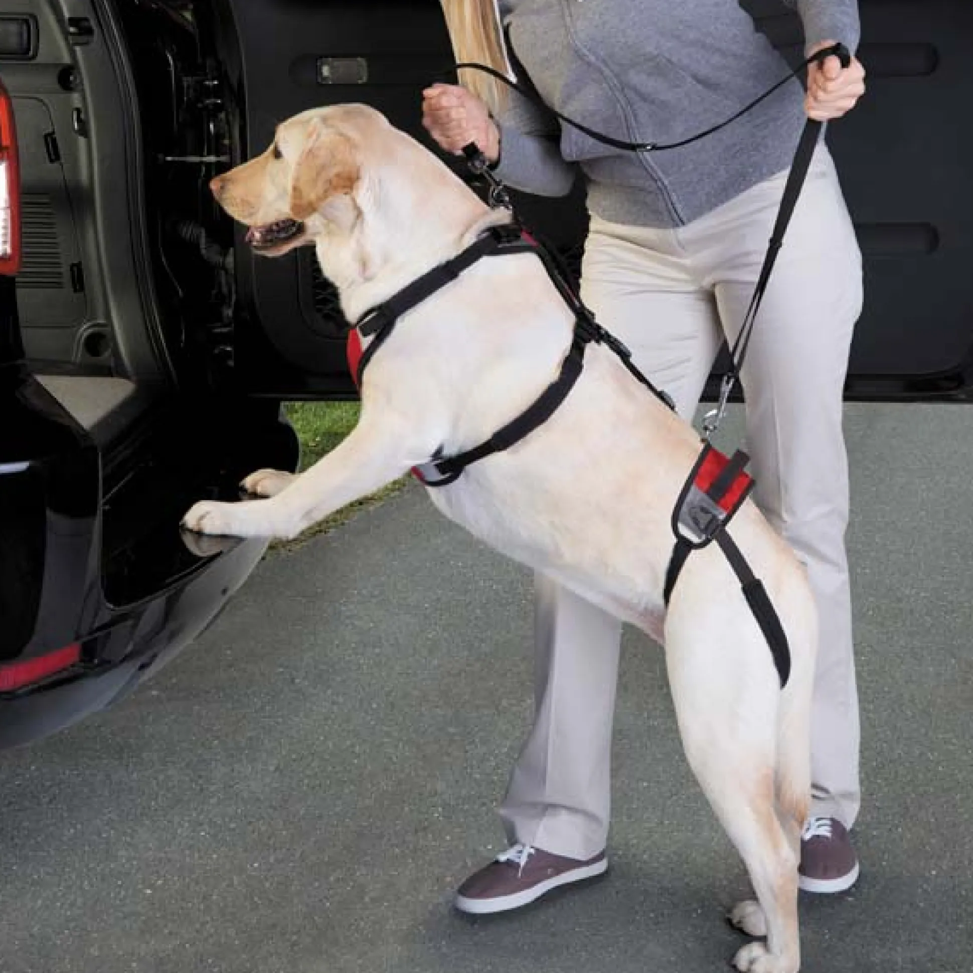 Total Pet Health Lift & Go Leads