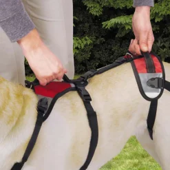 Total Pet Health Lift & Go Leads