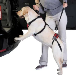 Total Pet Health Lift & Go Leads