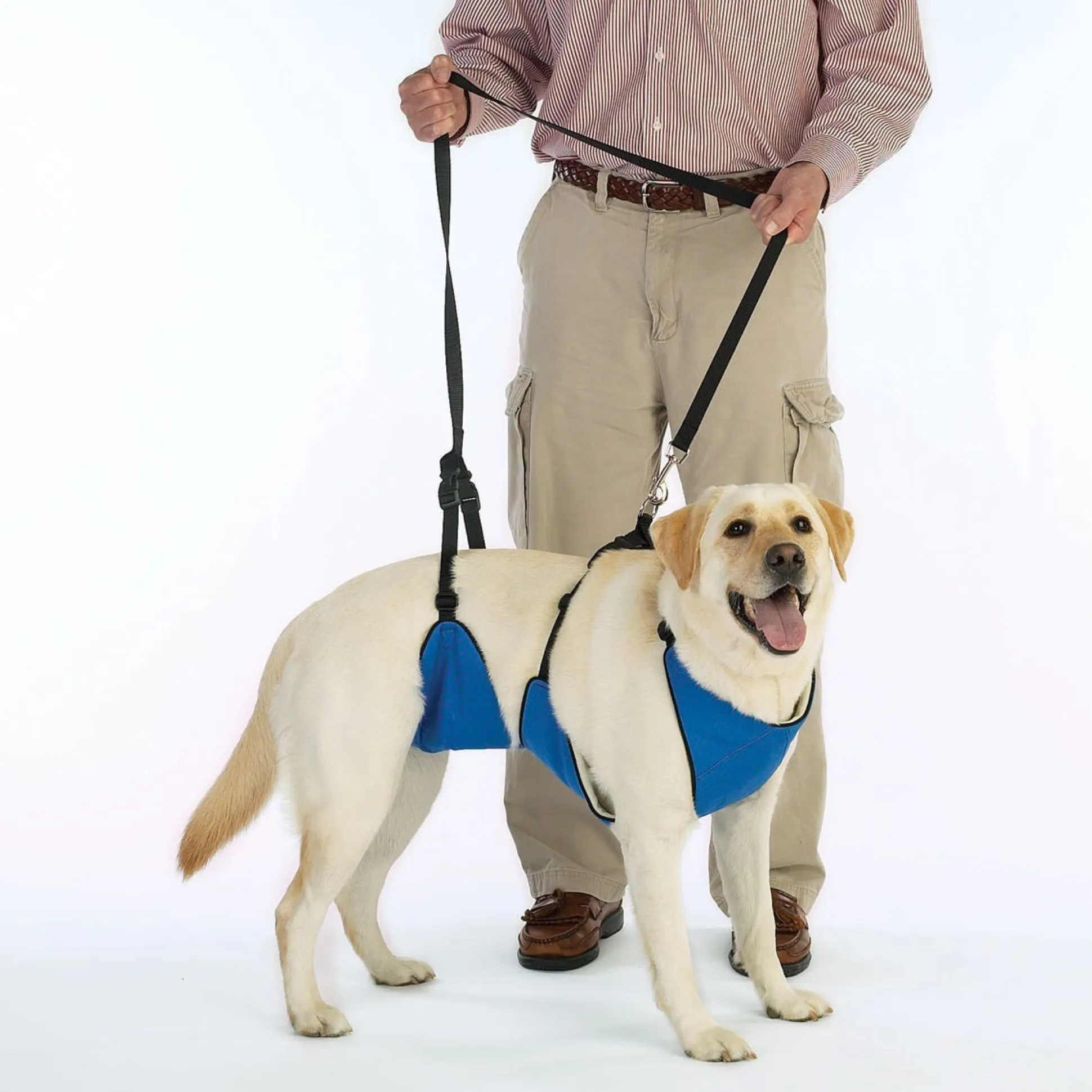 Total Pet Health Lift & Lead 4 in 1