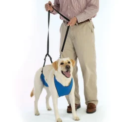 Total Pet Health Lift & Lead 4 in 1
