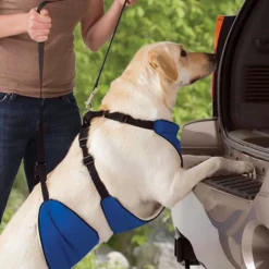 Total Pet Health Lift & Lead 4 in 1