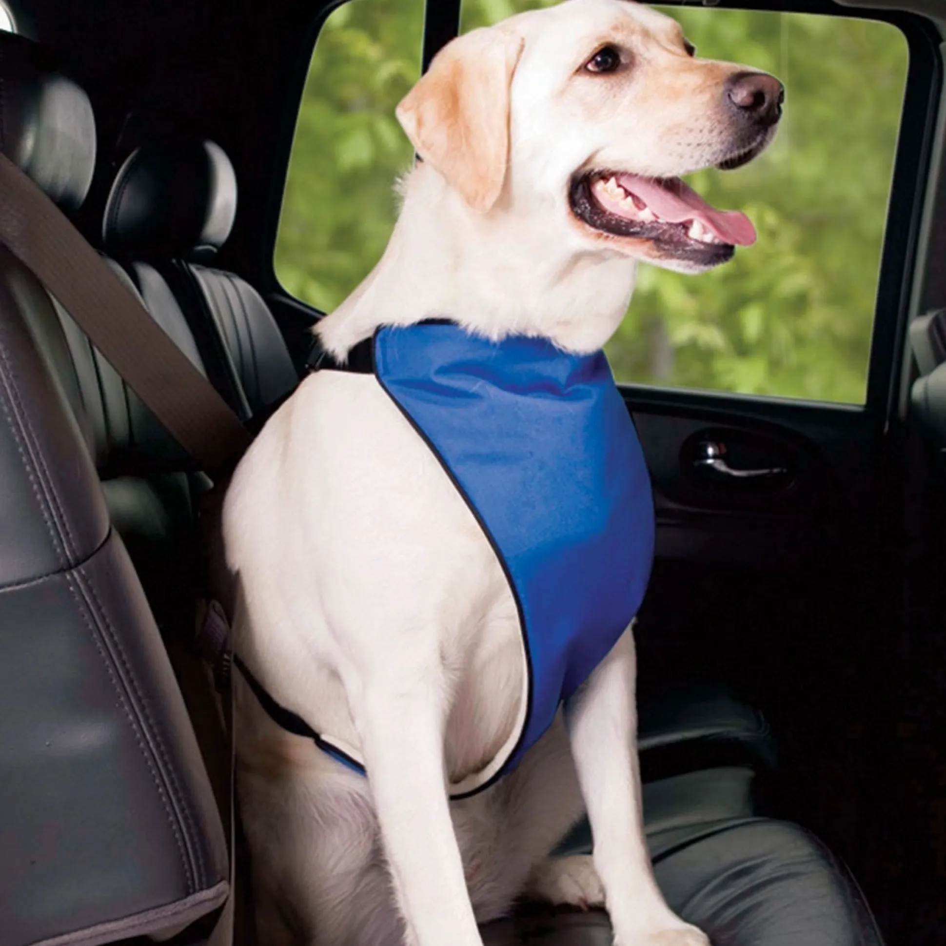 Total Pet Health Lift & Lead 4 in 1