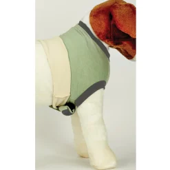 Total Pet Health Recovery Suit L
