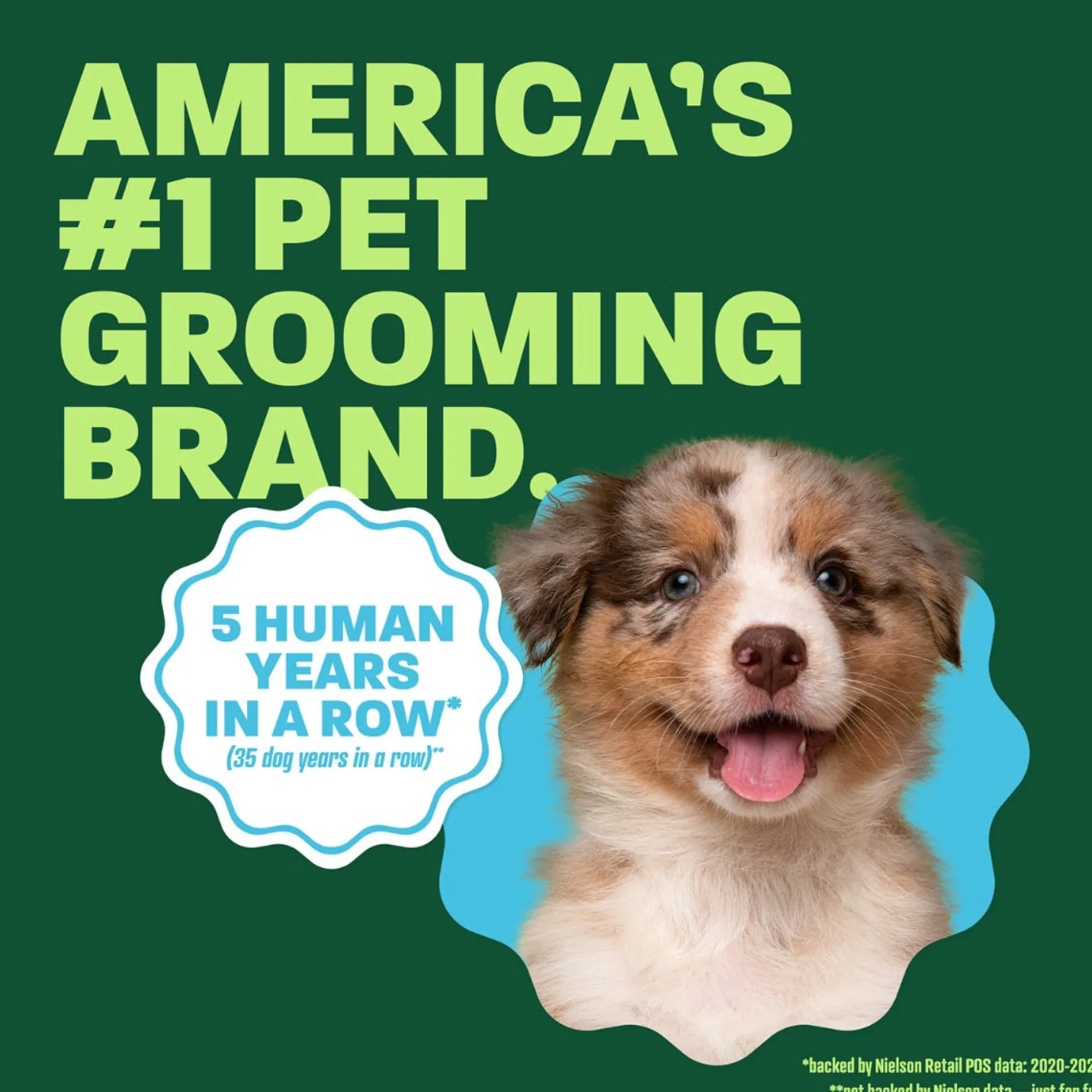 TropiClean Dog Grooming Waterless Shampoo