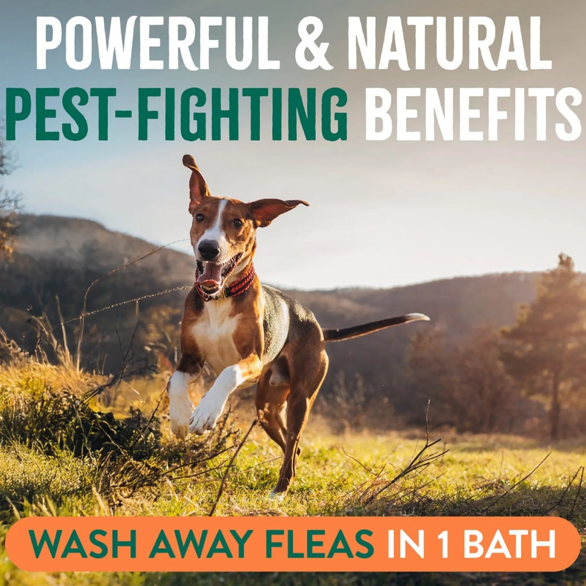 TropiClean Natural Flea & Tick Dog Grooming Shampoo Max Strength