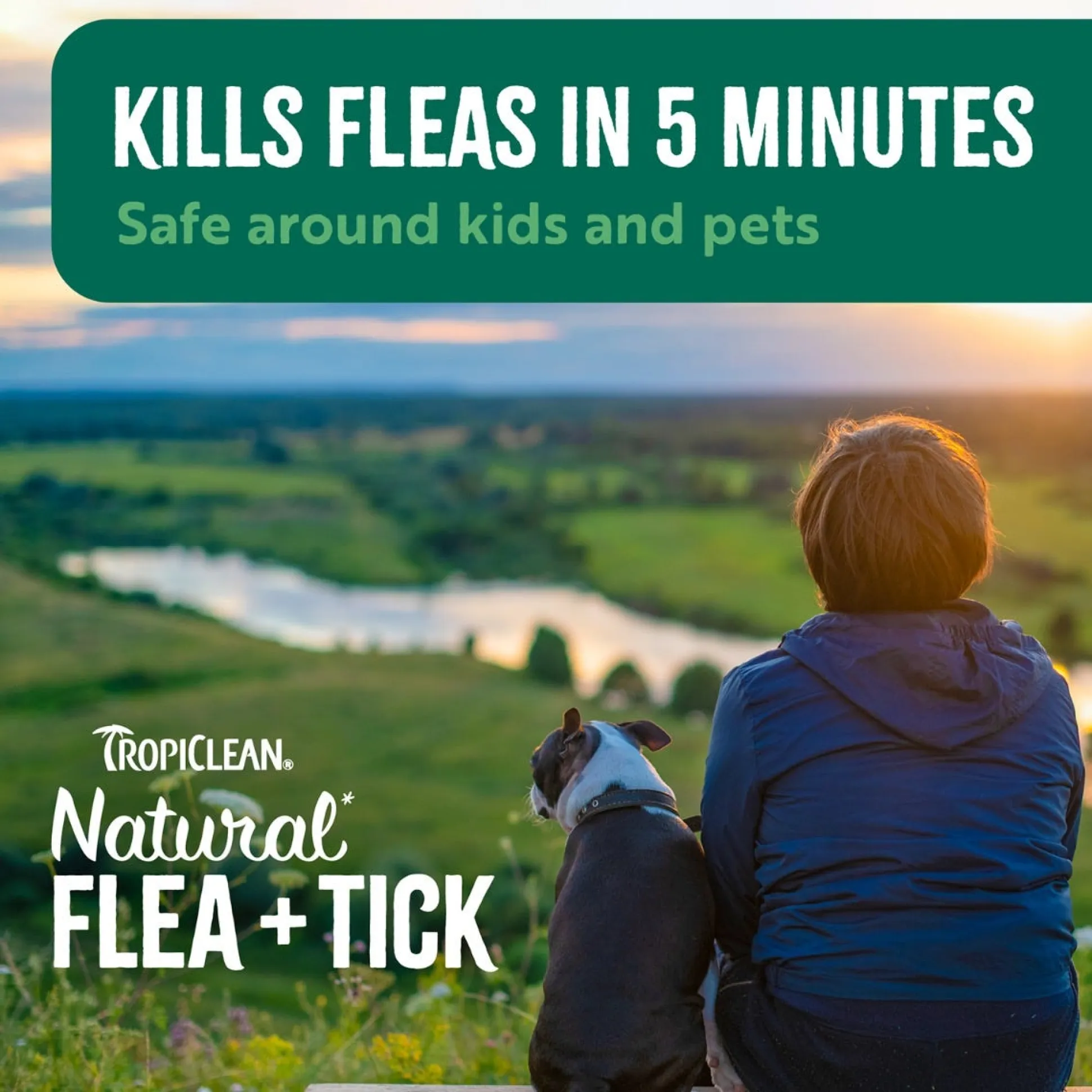 TropiClean Natural Flea & Tick Home & Dog Spray