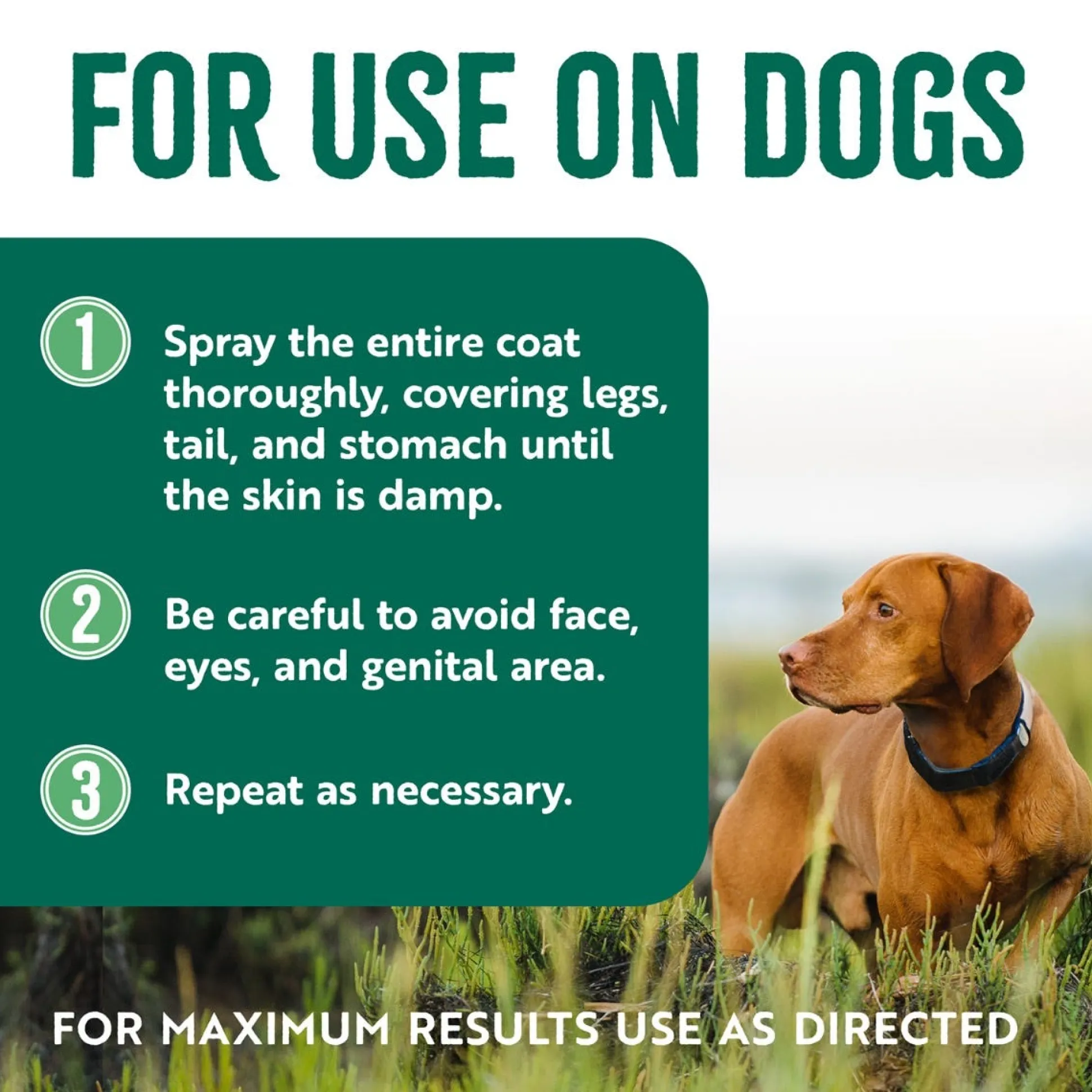 TropiClean Natural Flea & Tick Home & Dog Spray