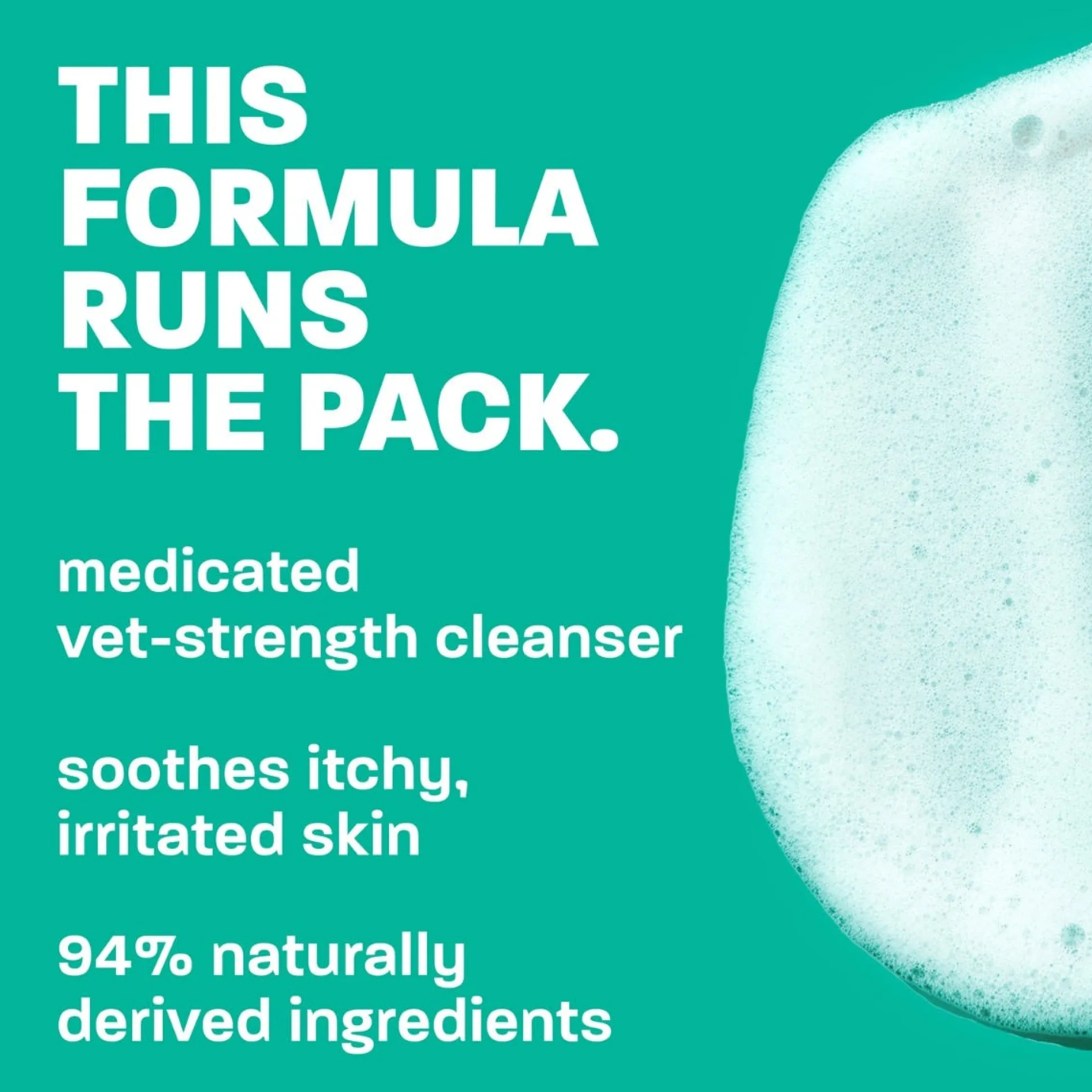 TropiClean Oatmeal & Tea Tree Medicated Dog Grooming Shampoo