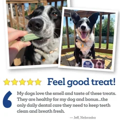 Vetality Brush Free Daily Dental Chews