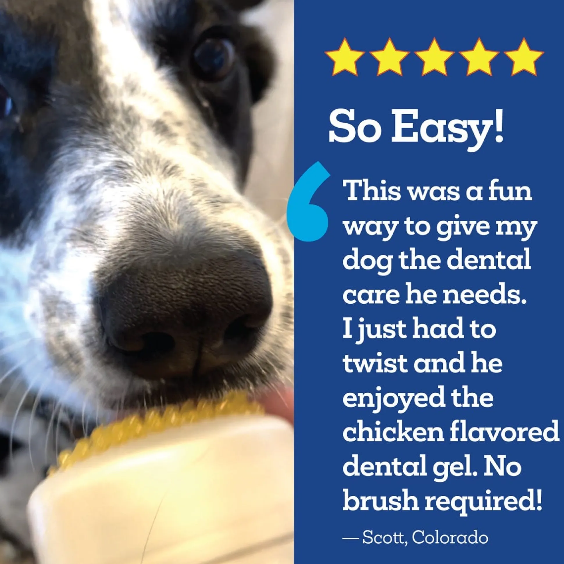 Vetality Brush Free Twist & Lick Chicken Oral Gel