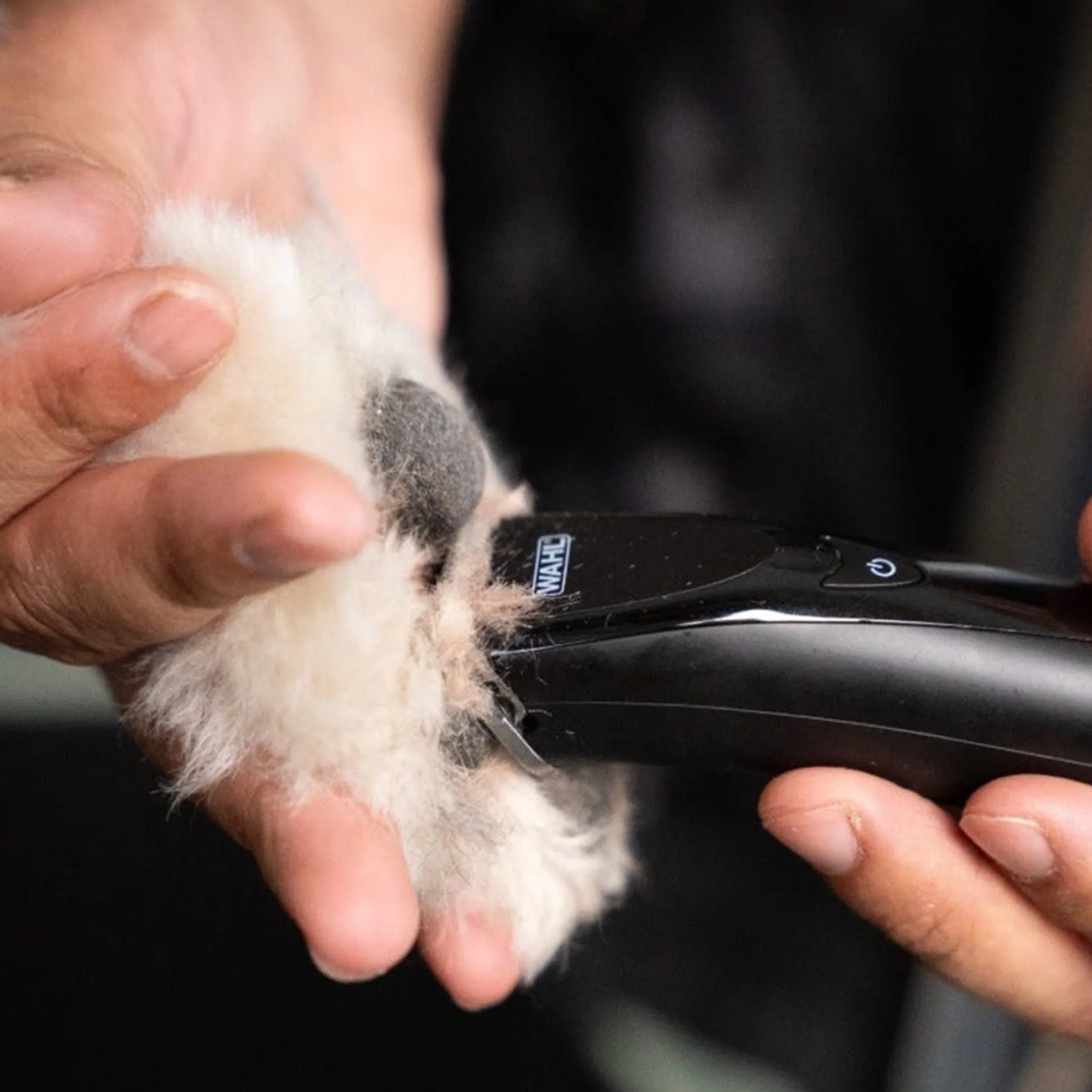 Wahl Fidela Cordless Black Trimmer