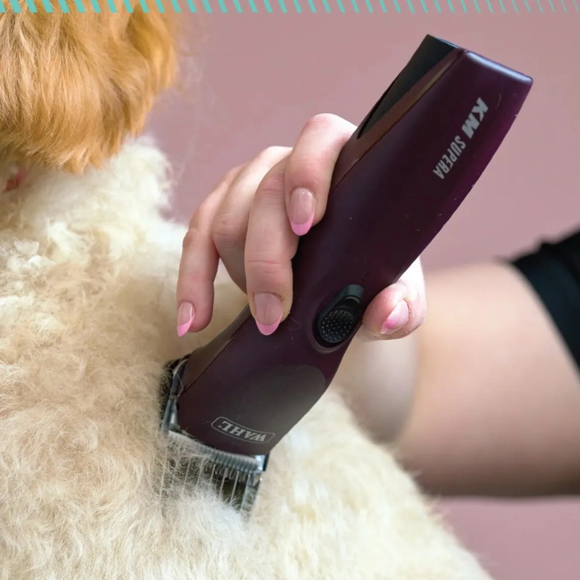 Wahl KM Supera Cordless Clippers