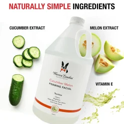 Warren London Cucumber Melon Foaming Facial