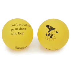 Zanies Fortune Ball Displays, 12 Pieces