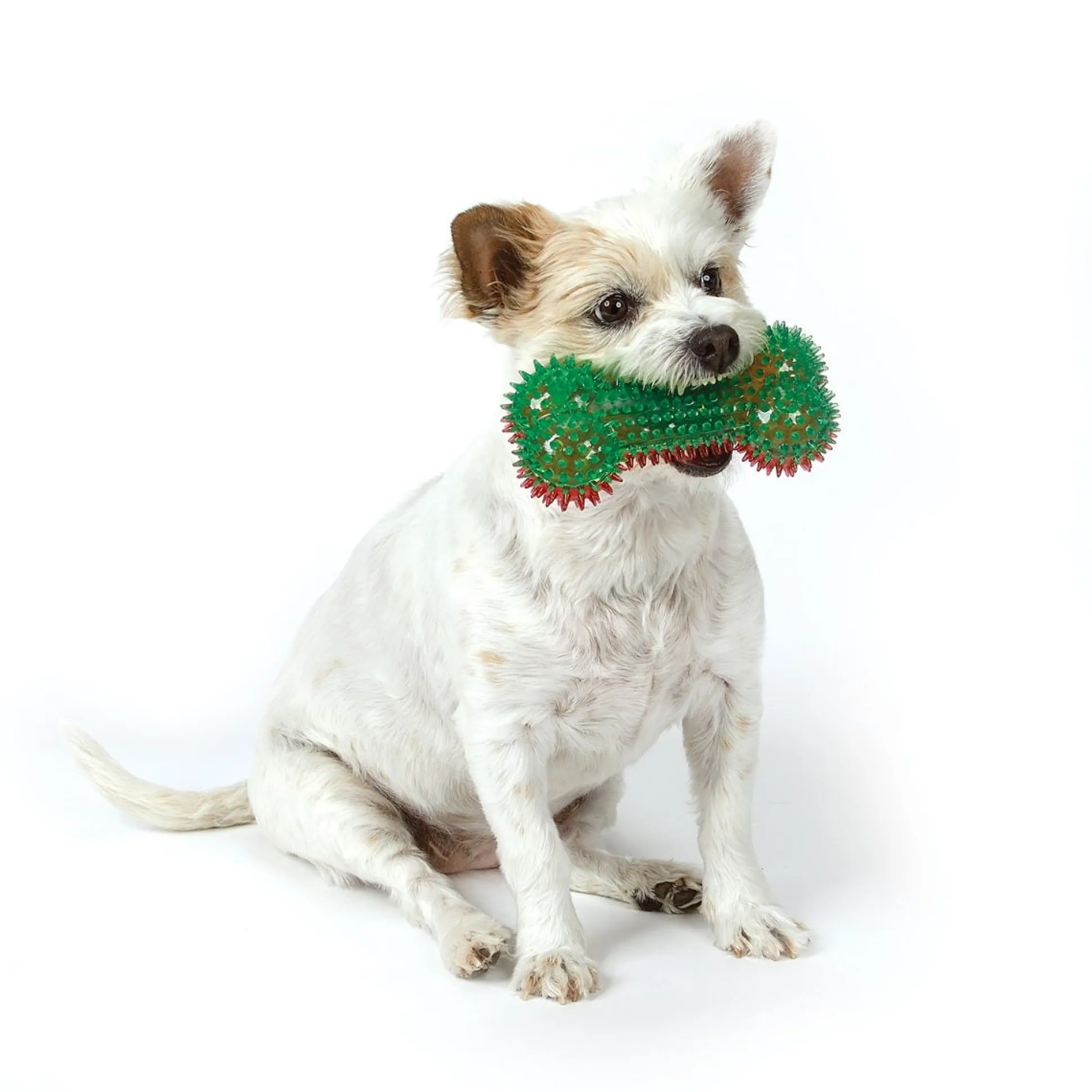 Zanies Holiday Squeaky Spike Bones