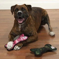 Zanies Toughstructables Bones Dog Toys
