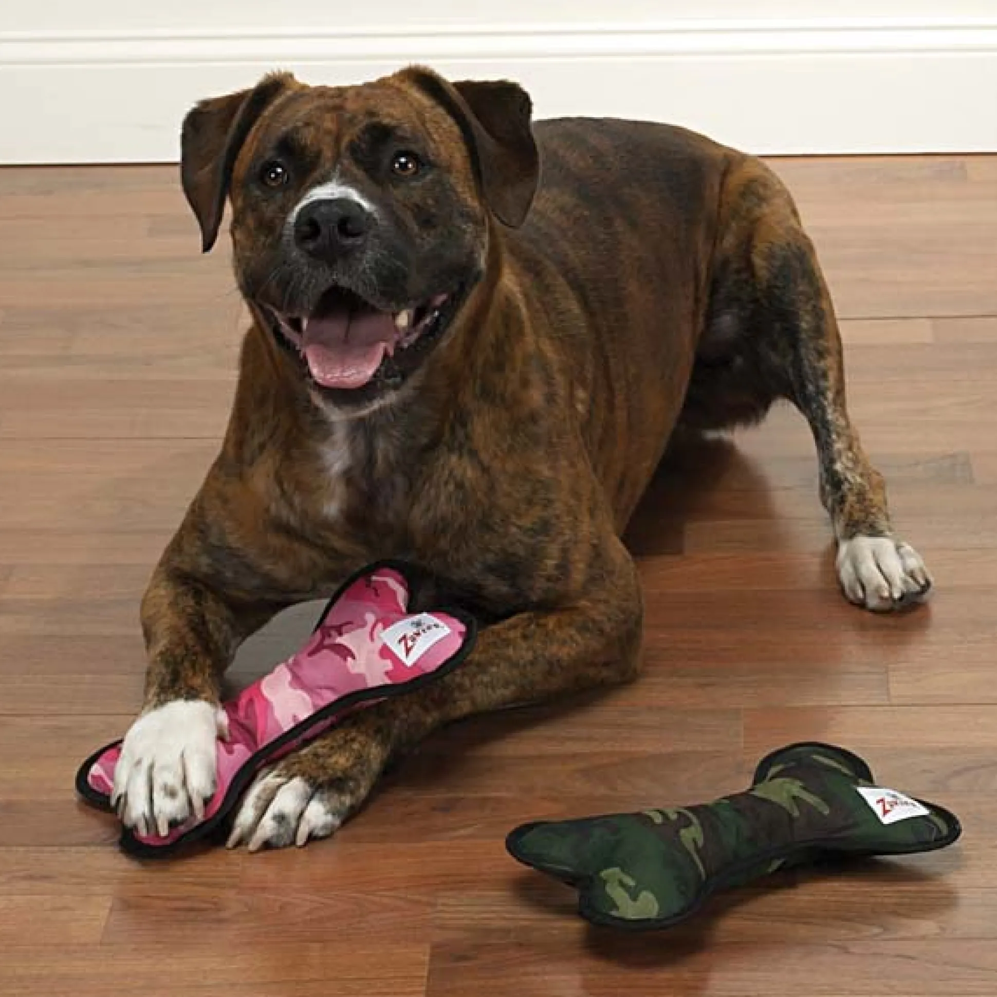 Zanies Toughstructables Bones Dog Toys